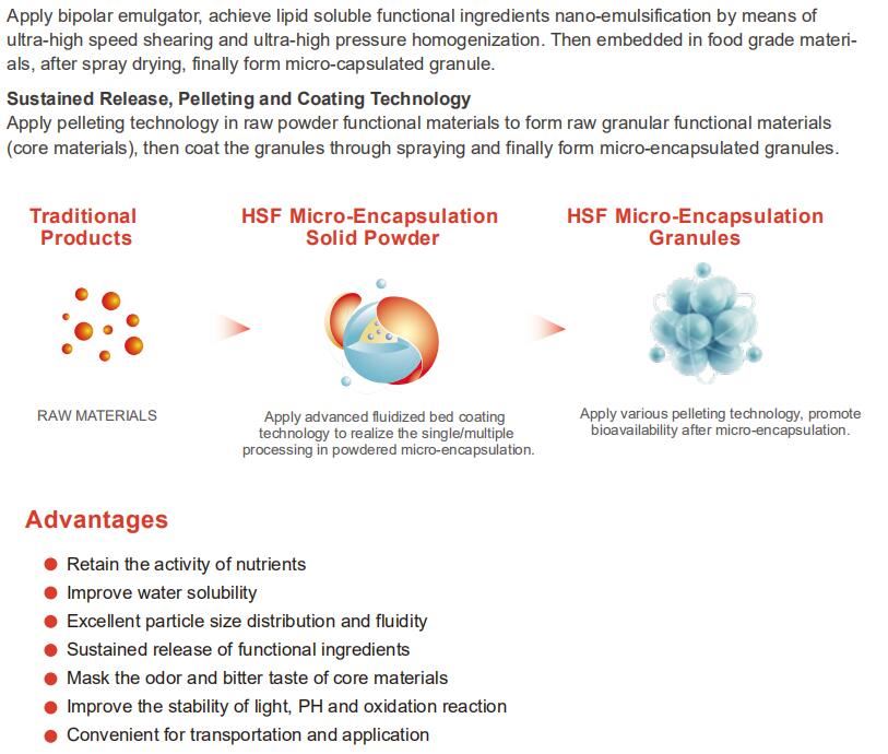 Micro-encapsulation Solid Powder