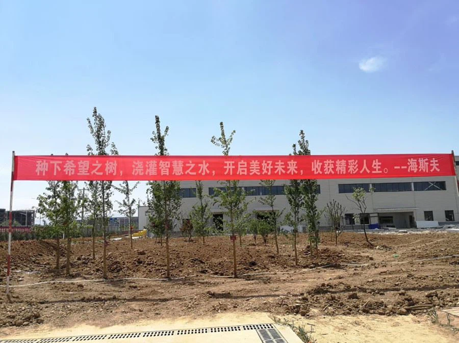 Coed Planhigion I Marcio Hyd a Rhedeg Planhigyn Newydd HSF Biotech