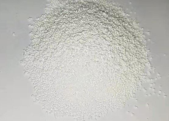 Sustained Release BCAA