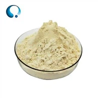 Powdwr Ynysig Protein Soi